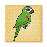 Red-shouldered Macaw Square Magnet