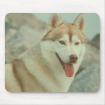 Red Siberian Husky Mouse Pad