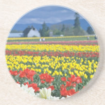 Red Skagit Valley, Mount Rainier, Washington, USA Beverage Coasters