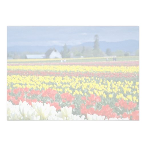 Red Skagit Valley, Mount Rainier, Washington, USA Invite