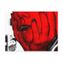 RED SKIN MONICAN POSTCARDS