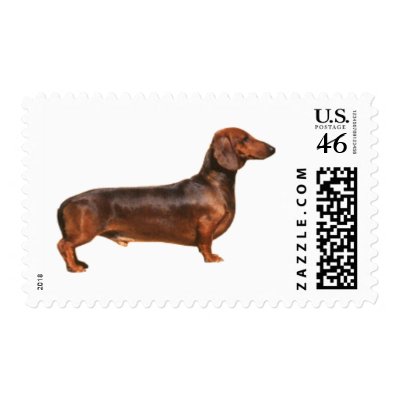 Red Smooth Hair Dachshund Postage Stamp by kokobaby