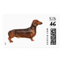 Red Smooth Hair Dachshund postage