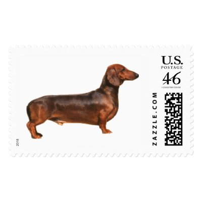 Red Smooth Hair Dachshund Postage Stamp