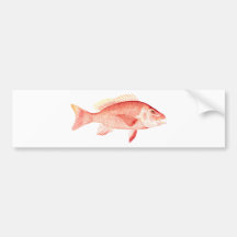 Red Snapper Bumper Stickers