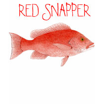 RED SNAPPER casual top t-shirts by thomglace RED SNAPPER casual top t-shirts