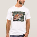 red snapper t-shirts by ceberhardt red snapper t-shirts