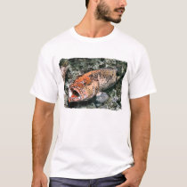 red snapper t-shirts by ceberhardt red snapper t-shirts