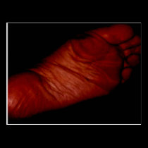 RED SOLES postcards