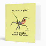 Red Spider Assassin Bug Binders