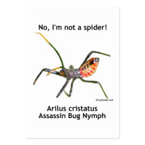 Red Spider Assassin Bug Business Card Templates