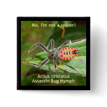 Red Spider Assassin Bug Pin