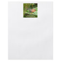 Red Spider Assassin Bug Personalized Flyer