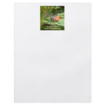Red Spider Assassin Bug Personalized Flyer