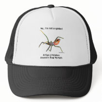Red Spider Assassin Bug Hat