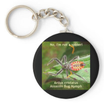 Red Spider Assassin Bug Keychain