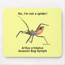 Red Spider Assassin Bug Mousepad