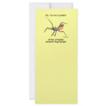 Red Spider Assassin Bug rack cards