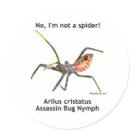Red Spider Assassin Bug Sticker