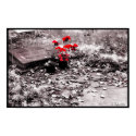 Red Splash posters