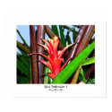 Red Splendor I - Colossal Size posters
