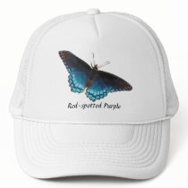 Red-spotted Purple Butterfly Hat