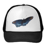 Red-spotted Purple Butterfly hat