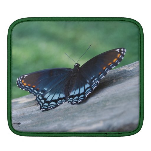 Red-spotted Purple Butterfly iPad Sleeve