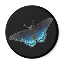 Red-spotted Purple Magnet