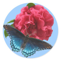 Red-spotted Purple on Camellia Sticker