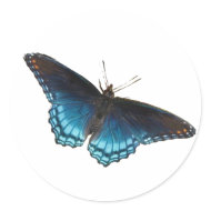 Red-spotted Purple Sticker sticker