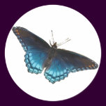 Red-spotted Purple Sticker