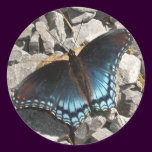 Red-spotted Purple Sticker stickers