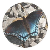 Red-spotted Purple Sticker
