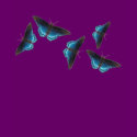 Red-spotted Purple T-Shirt