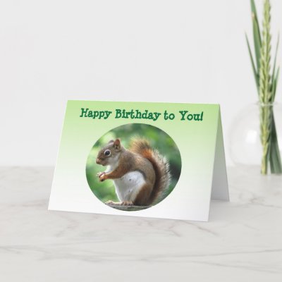 Red Squirrel Birthday Greeting Card