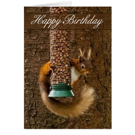 red-squirrel-birthday-card-zazzle