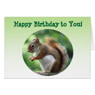 Red Squirrel Birthday Greeting Card