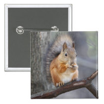 Red Squirrel Button buttons