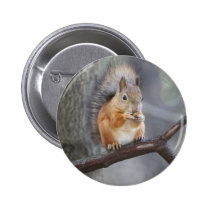 Red Squirrel Button buttons