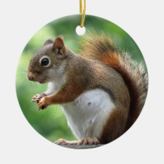 Red Squirrel Christmas Ornament