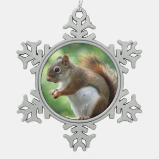 Red Squirrel Christmas