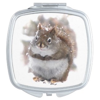 Red Squirrel Compact Mirror