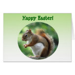 Red Squirrel Easter Cards
