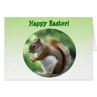 Red Squirrel Easter Greeting Card