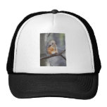 Red Squirrel hat
