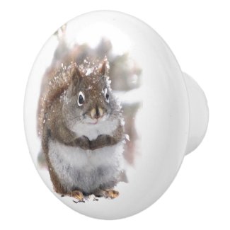 Red Squirrel in Snow Ceramic Knob