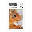 Red Squirrel Postage postage