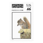 Red Squirrel Postage
