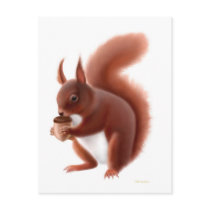 Red Squirrel Postcard